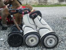 Цены договорные