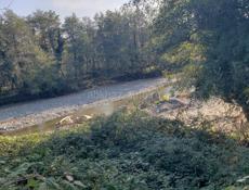 Продам свой дом 1.5 гектар территории