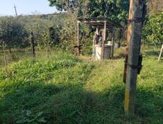 Продам свой дом 1.5 гектар территории