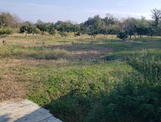 Продам свой дом 1.5 гектар территории