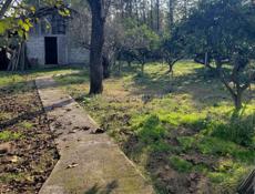 Продам свой дом 1.5 гектар территории