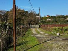 Продам свой дом 1.5 гектар территории