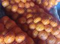 Мандарины собранные