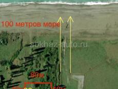 Пицунда Срочно!!!