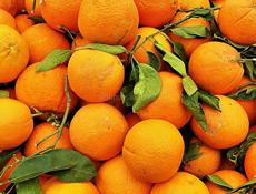 СКУПАЕМ МАНДАРИН 🍊 🍊 🍊 