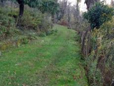 Дом для любителей тишины и природы! 