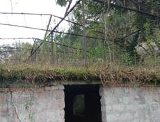 Дом для любителей тишины и природы! 