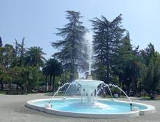 Сниму квартиру 