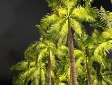 Куплю 15 про заблокированный 