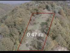 Видовой участок в Пицунде