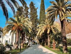 СДАЕТСЯ С НОЯБРЯ -ПО МАЙ (ВОЗМОЖНО СДАЧА И НА НЕДЕЛЮ,НА МЕСЯЦ)ЗХ КОМНАТНАЯ КВАРТИРА В Г.ГАГРА ,АБАЗГАА 47/3 -3 ЭТАЖ. В КВАРТИРЕ ЕСТЬ ВСЕ НЕОБХОДИМОЕ ДЛЯ КОМФОРТНОГО ПРОЖИВАНИЯ...