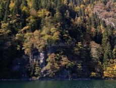 ПОЙДЁМ СБОР МАНДАРИНЫ  !! 