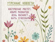 Нужны сальники Suzuki Escudo, Jimmy . Срочно