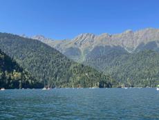 Ищем работу на сбор мандарин 