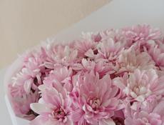 Требуется раздатчик пищи -кассир