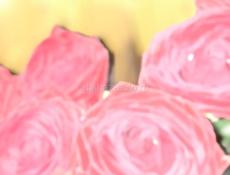 Петухи домашние