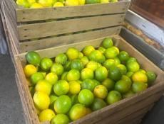 Продажа лимонов   Звонки  сообщения только  what’s up.   По весу договоримся сколько надо 