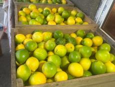 Продажа лимонов   Звонки  сообщения только  what’s up.   По весу договоримся сколько надо 