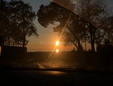 Разные варианты хорошие цены не трофей!