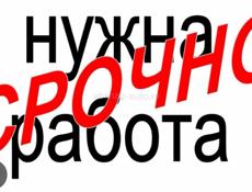 Срочно ищу работу!