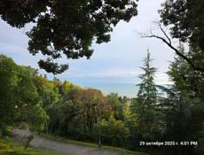 Здание в центре Сухум под ресторан, офис, банк, модный клуб-25млн.р.