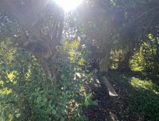 Продаю земельный участок 