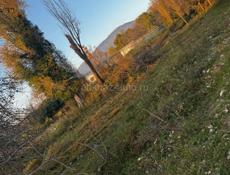 Выгодное предложение