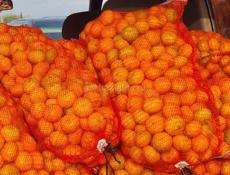 Продам мандарин 🍊 