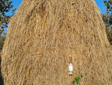 ПРОДАЁТСЯ СЕНО