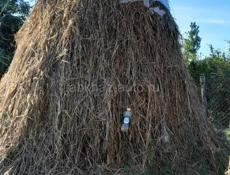ПРОДАЁТСЯ СЕНО
