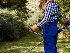 ПОКОС ТРАВИ