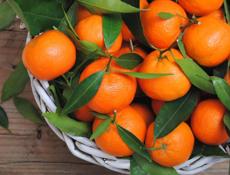 Сборка мандарина