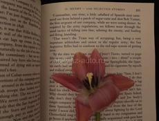 Срочно сниму! 