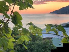 На берегу моря продается квартира.