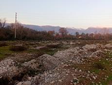 Срочно до 60 соток 