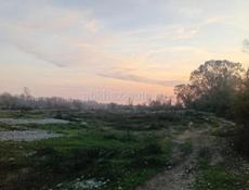 Срочно до 60 соток 