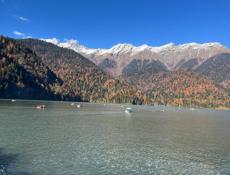 Сниму квартиру 