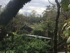 Срочно за это такая цена 