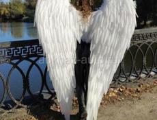 Крылья ангела