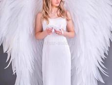 Крылья ангела
