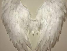 Крылья ангела