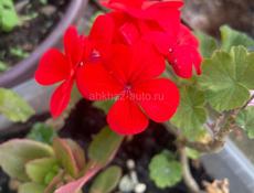 Ищу работу!!!!