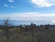 Новый Афон 6 соток. Цена 4