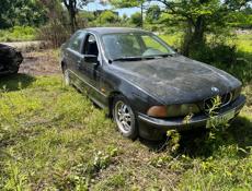 Разбор 7116999