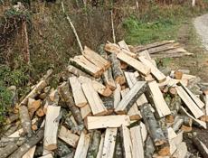 Продаю дрова