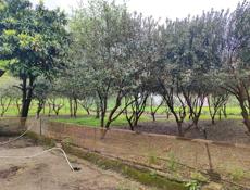 Продаётся жилой дом