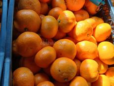 МАНДАРИНЫ 🍊 самосбор