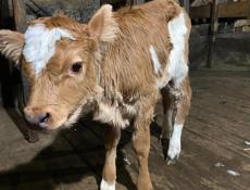 Все вопросы по телефону +79407755510