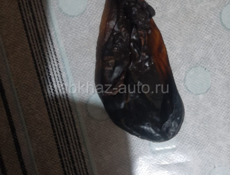 Продается Медвежья желчь 