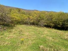 45 соток + 2 дома 